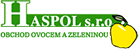 Primary Raster logo